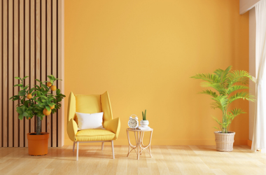 Interior Designer in Warangal