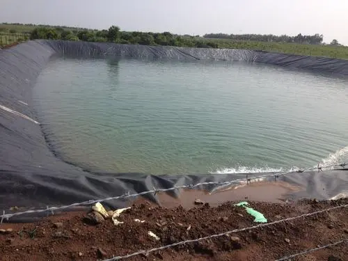 Liner for Agriculture Pond