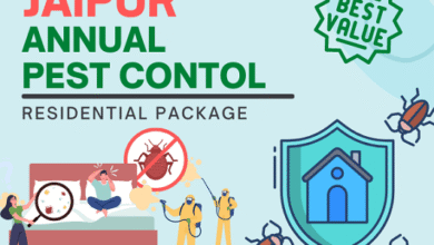 Pest Control Services in Jaipur