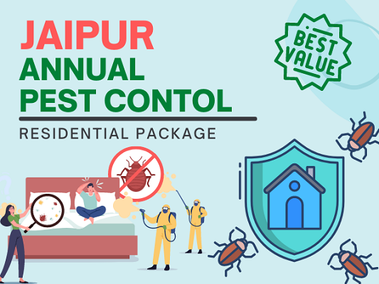 Pest Control Services in Jaipur