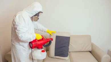 Best Home Pest Control in Jaipur
