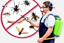 Industrial Pest Control Service in Jaipur