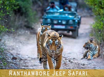 Ranthambore Jeep safari Booking