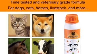 Lime Sulfur Dip for Dogs