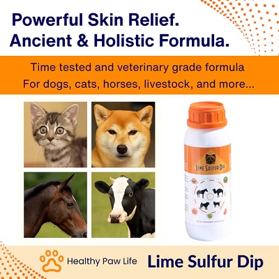 Lime Sulfur Dip for Dogs