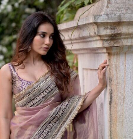 Silk Embroidery Saree