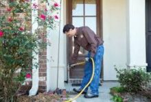 Termite Treatment in Jaipur