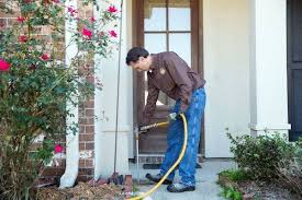 Termite Treatment in Jaipur