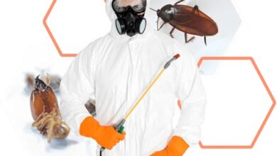 Best Home Pest Control in Jaipur