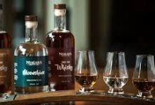 Distillery and Brewery Tours Niagara