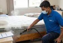 Jaipur Bedbugs Control Services