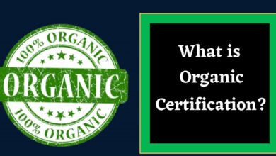 Organic Certification in India