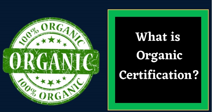 Organic Certification in India