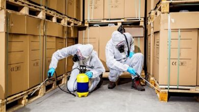 Commercial Pest Control in Jaipur