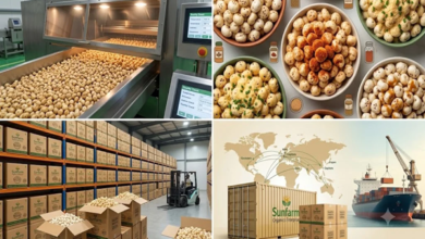 Premium roasted Makhana Supplier