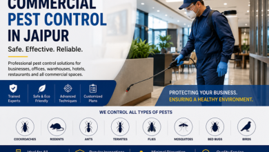 Commercial Pest Control in Jaipur