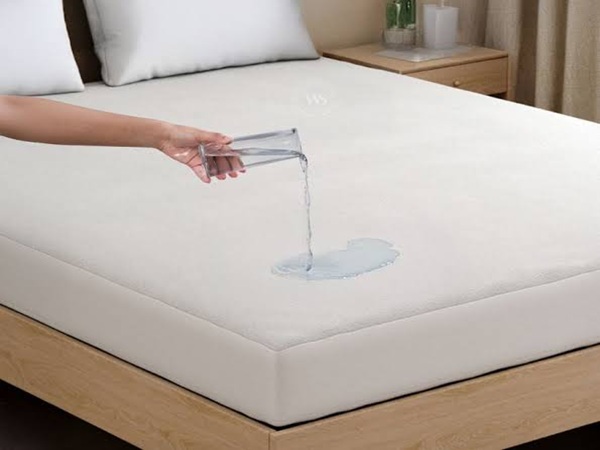 Bed Protector Dry Sheets