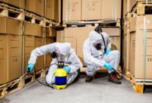 Pest Control Services for Malls in Jaipur