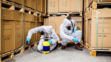Pest Control Services for Malls in Jaipur