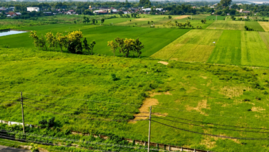 Plot for Sale in Dehradun​