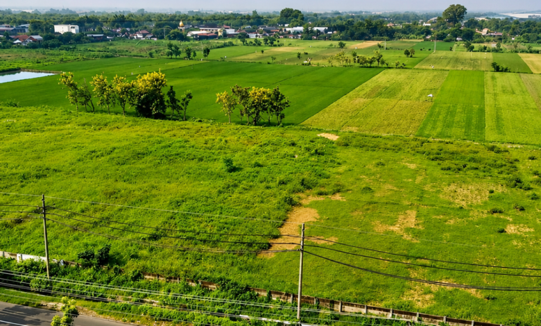Plot for Sale in Dehradun​