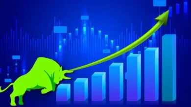 Small Cap Mutual Funds​