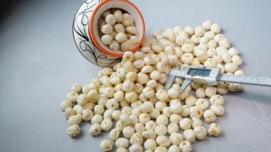 Makhana supplier in Bihar