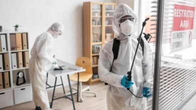 Home Pest Control Prices in Jaipur