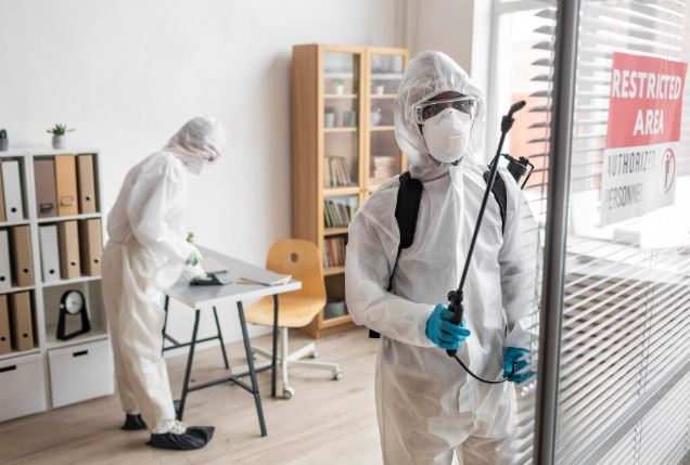 Home Pest Control Prices in Jaipur