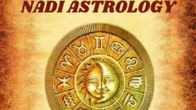 Online Bhrigu Nandi Nadi Astrology