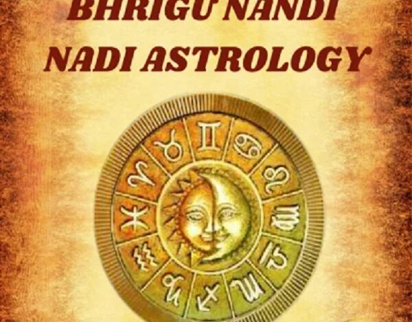 Online Bhrigu Nandi Nadi Astrology