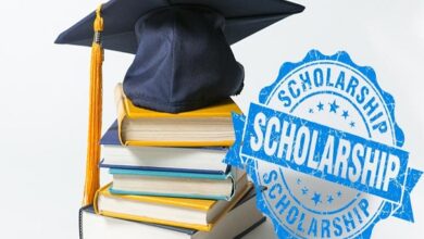 Goverment Scholarship