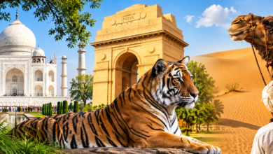 Ranthambore wildlife tour holiday package