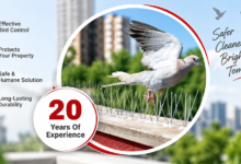 Bird Control Chennai