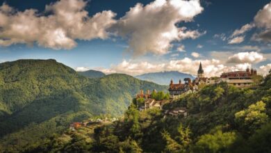 Bhutan DMC