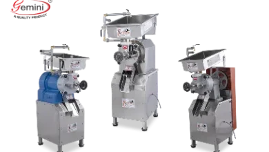 Gemini Motor