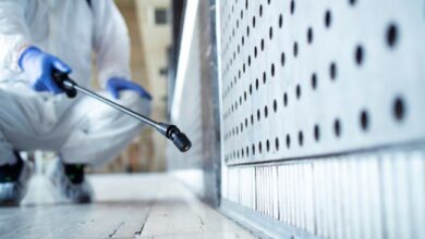 Termite Treatment in Jaipur