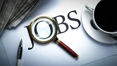 Ceramic Job Placement Morbi